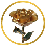 24kt Gold Dipped Roses