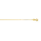 10K Yellow Gold .6mm Classic Box 20 Chain with Spring Ring