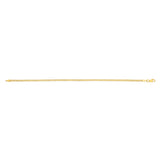 14K Yellow Gold 2.5mm Bismark 20 Chain Necklace with Lobster Clasp