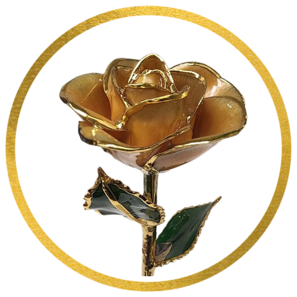 24kt Gold Dipped Roses John Fish Jewelers