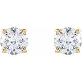 14K Yellow Gold 1 CTW Lab-Grown White Diamond Earrings